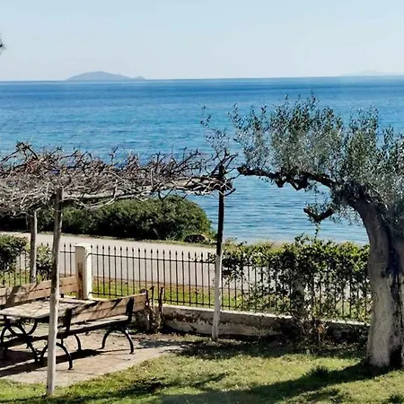 Metamorphosis - Halkidiki On The Διαμέρισμα *