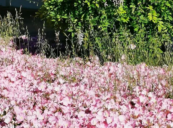Metamorphosis - Halkidiki On The Apartment Metamorfosi (Sithonia)