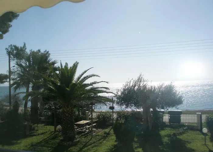 Metamorphosis - Halkidiki On The