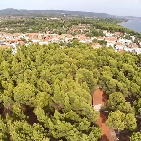 Metamorphosis - Halkidiki On The *