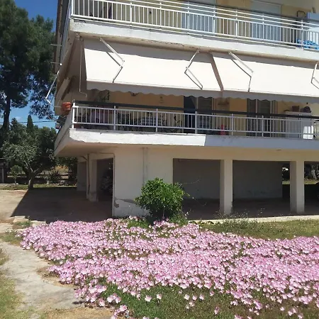 Metamorphosis - Halkidiki On The * Metamorfosi (Sithonia)